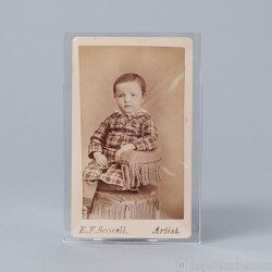 POLYESTER &lt;b&gt;Sleeves &lt;/b&gt; for Cart